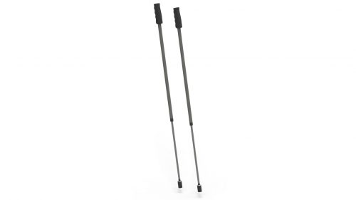 Pro ski poles.